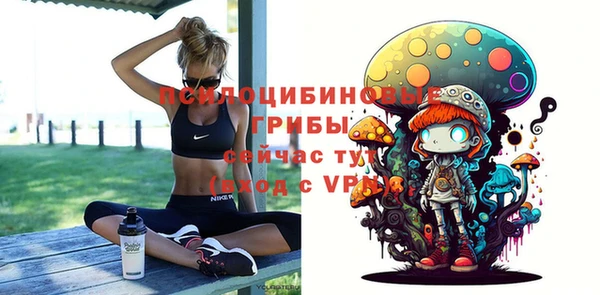 соль ск Алексеевка