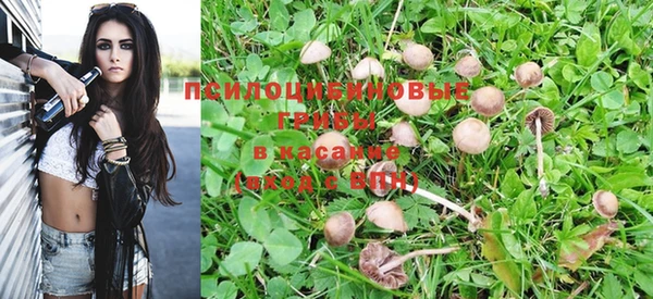 марки nbome Алзамай